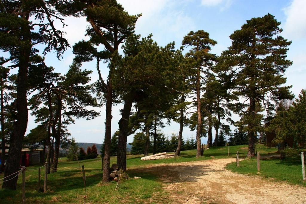 Hotel Le Refuge Mas-d'Orcieres Екстер'єр фото